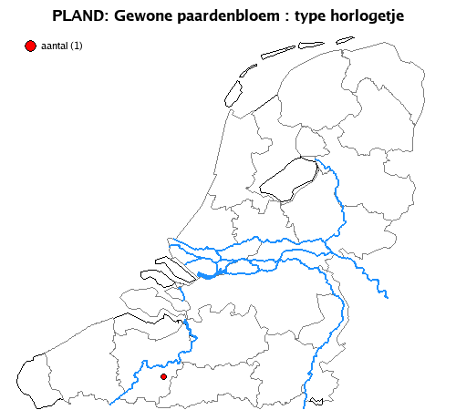 horlogetje